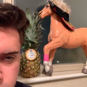 Meet your Posher, Sam